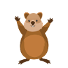 Quokka Heart Australia