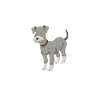 Chien Schnauzer Schnauzer géant