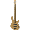 Fretless Bass Guitar