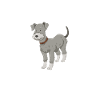 Schnauzer géant Schnauzer chien