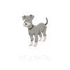 Schnauzer géant Schnauzer chien