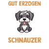 Riesenschnauzer Hund Schnauzer