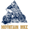 VTT