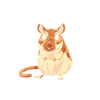 Gerbil whisperer