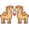Camel Comic Couple Love