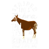 Funny zookeeper okapi lover