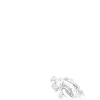 Live Life Fast back