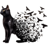 Bombay-Katze