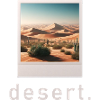 Desert Vibe Retro Photo