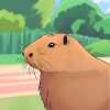 A brown capybara