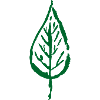 Feuille