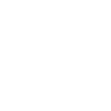 Theoretisch Schaffner