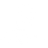 La puissance du chaton blanc