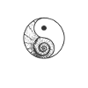 Seashell Yin and Yang Sign
