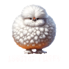 Fluffy Chickens Silkie Chicken Joke