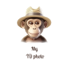 Max the casual monkey