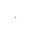 J’adore l’Afrique du Sud
