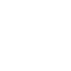 The Crew
