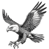 Flying Eagle, Graphic