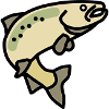 Jumping Salmon