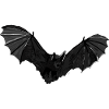 Bat