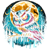 Chouette dans la nuit