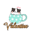 Mon chat est mon Valentin