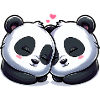Two Pandas In Love