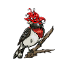 Carnival Bird