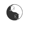 Cat Yin and Yang Opposites