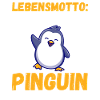 Pingouin mignon