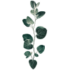 Plant Pattern