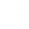 Art japonais pliage Origami
