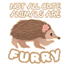 Echidna Cute Animals Furry Schnabeligel