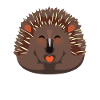Echidna Kinder Design Schnabeligel