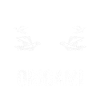 Art japonais pliage Origami