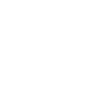Year of the Dragon 2024