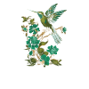 Hummingbird