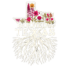 Texas Wildflowers Sæson Fields Blomster Texas