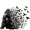 Gorilla