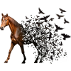 Pferd