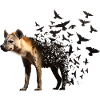 Hyena