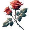 Polygone rose