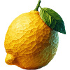 Polygone citron