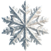 Schneeflocke Polygon (alt)