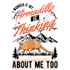Armadillo Gift Armadillo