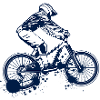 VTT