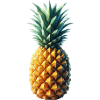 Polygone d’ananas