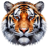 Tiger Polygon