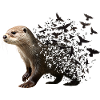 Otter